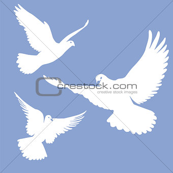 flying white doves