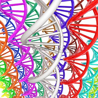 DNA structure model background
