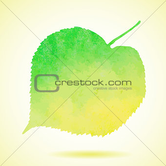 Watercolor linden leaf isolated on white