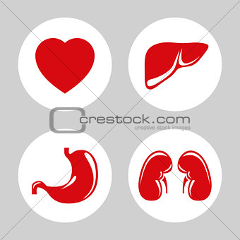 Human internal organs vector icons set.