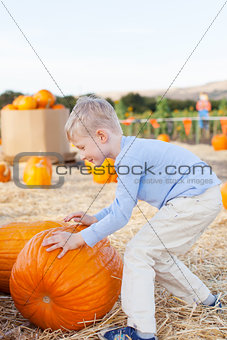 kid at pumpkin patch