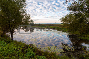 Bogolyubov meadow. Russia