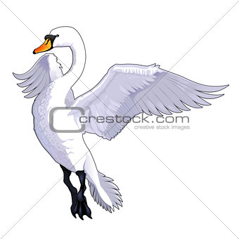 Flying swan.