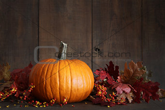 Harvested pumpkin and berries on wood 