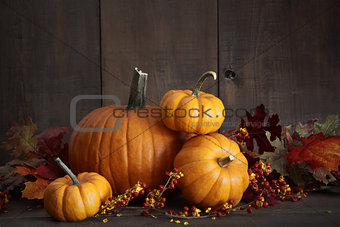 Still life harvest with pumpkins and gourds 