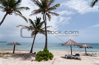 A Sunny Caribbean Beach