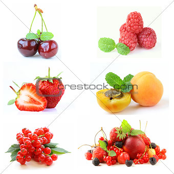 Set various berries (strawberries, raspberry, currant, cherry, apricots)