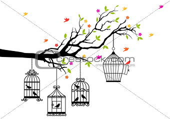 free birds and birdcages, vector 
