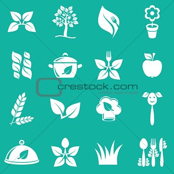 Vegetarian icons