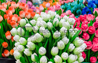 Traditional wooden colorful tulips at souvenir shop in Amsterdam