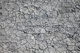 Dried cracked earth 