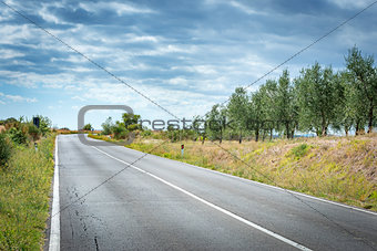 Road landscape Tuscany