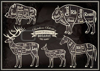 vector diagram cut carcasses boar, bison, deer, horse