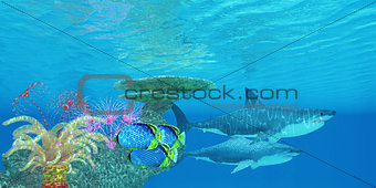 Great White Shark Reef