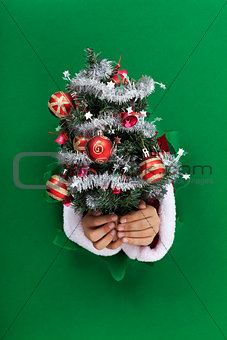 Small christmas tree handed to you