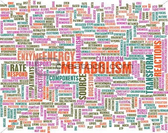 Metabolism