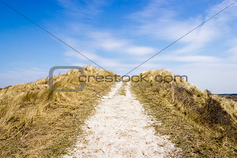 Road in dunes, National Park Zuid Kennemerland, The Netherlands
