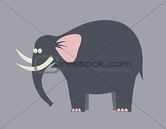 Surprised elephant