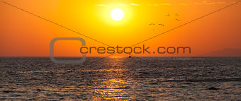 Amazin dawn background with ship and seaguls