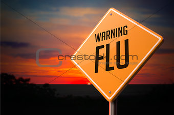 Flu on Warning Road Sign.