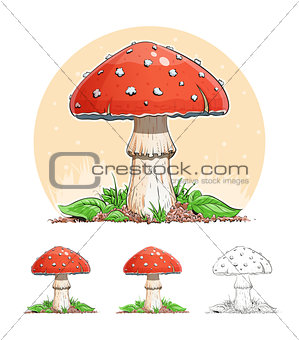 Amanita. Mushroom