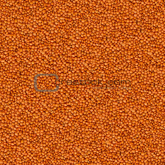 Uncooked Red Lentils Background.