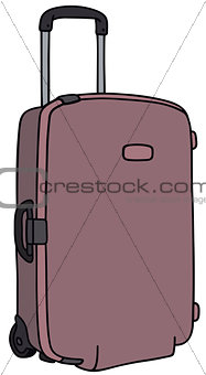 Violet suitcase
