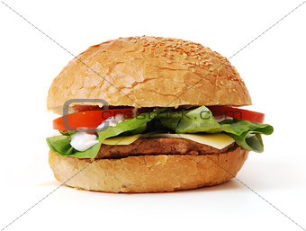 hamburger with vegetables 
