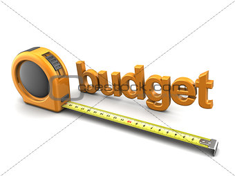 budget metrics