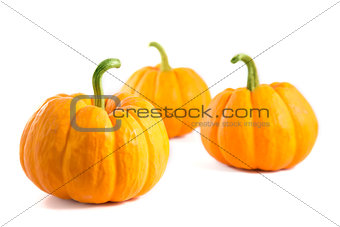 Three decorative orange pumpkins 