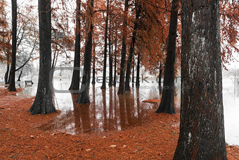 Varese Lake, overflow in the public park Zanzi