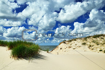 Beautiful baltic dunes
