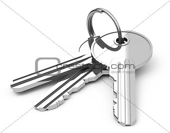 the keys
