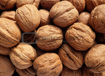 Heap of walnuts