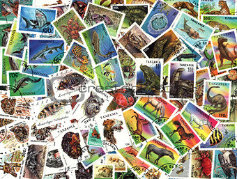 Fauna. Tanzanian postage stamps