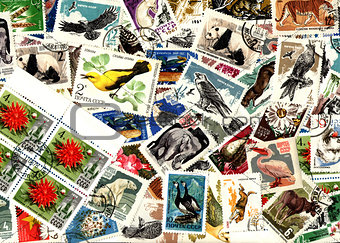 Nature. Soviet postage stamps