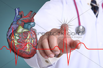 Doctor touch heart beat graph 