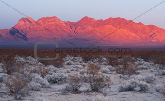 Providence Mountains Edgar & Fountain Peak Mojave Desert