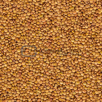 Lentil Yellow Evenly Layer Background.