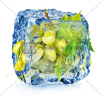 Green grape in ice cube