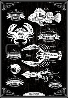 vector diagram cut carcasses seafood