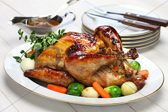 homemade roast turkey