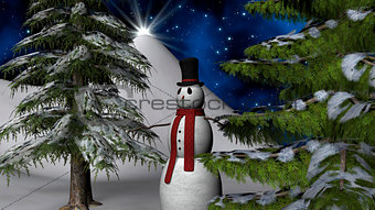 Christmas Night Star with a Snowman and fir trees