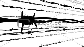 Silhouette of Barbed wire.