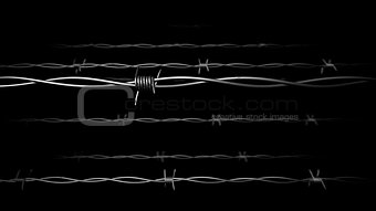 Barbed wire on black.