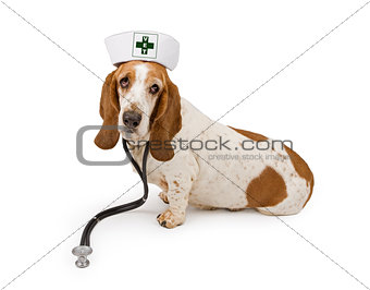 Basset Hound Dog Nurse With A Vet Cross On Hat