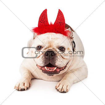 Bulldog wearing devil horns