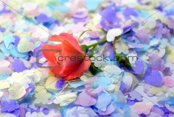 confetti and rose