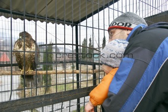 baby boy with father in zoo