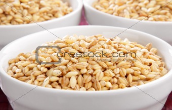 Bowls of barley